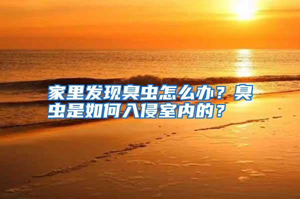 家里發(fā)現(xiàn)臭蟲怎么辦？臭蟲是如何入侵室內(nèi)的？