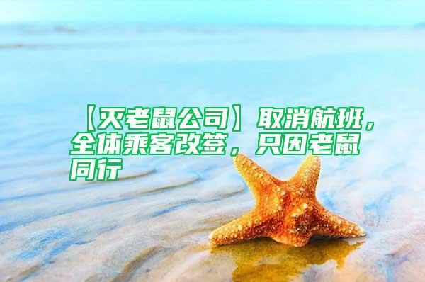 【滅老鼠公司】取消航班，全體乘客改簽，只因老鼠同行