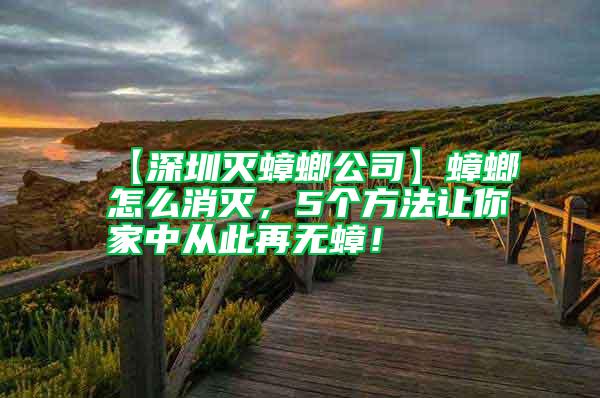 【深圳滅蟑螂公司】蟑螂怎么消滅，5個方法讓你家中從此再無蟑！