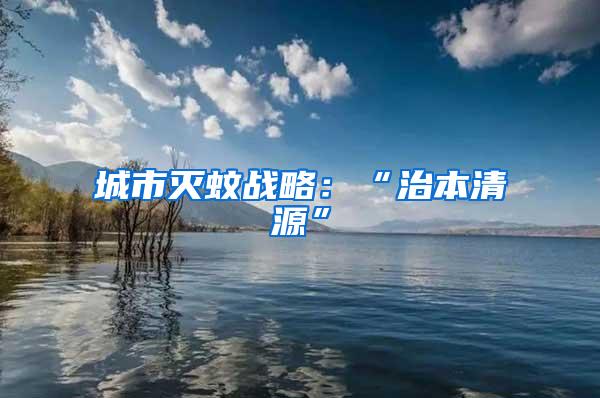 城市滅蚊戰(zhàn)略：“治本清源”