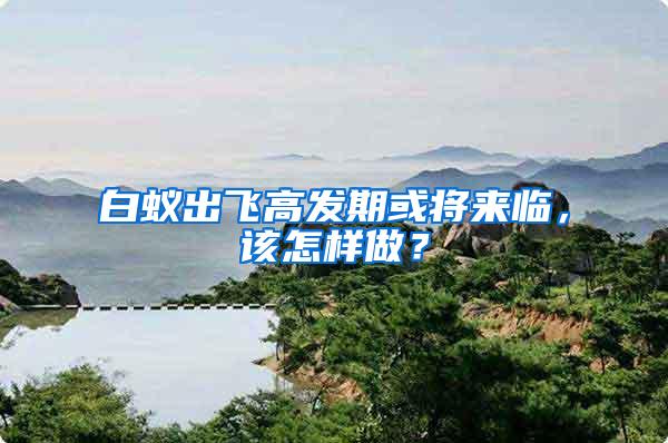 白蟻出飛高發(fā)期或?qū)砼R，該怎樣做？