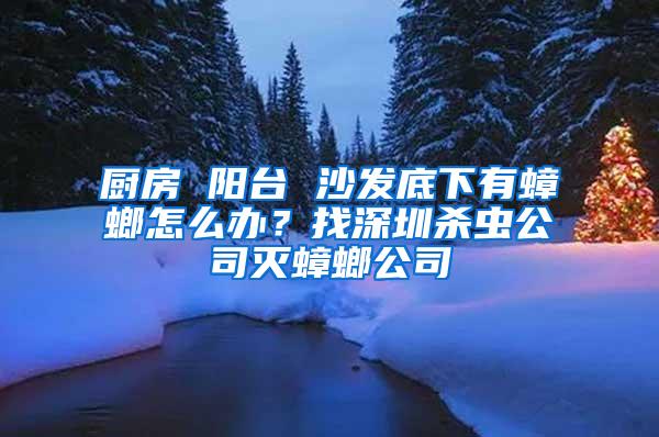 廚房 陽臺 沙發底下有蟑螂怎么辦？找深圳殺蟲公司滅蟑螂公司