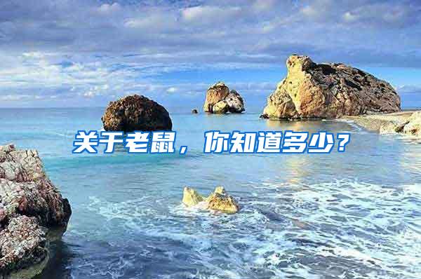 關(guān)于老鼠，你知道多少？