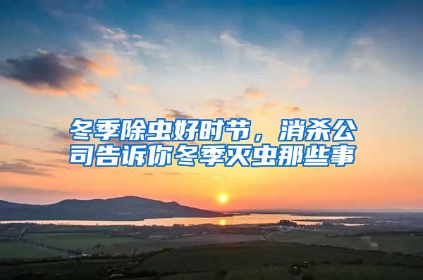 冬季除蟲好時節(jié)，消殺公司告訴你冬季滅蟲那些事