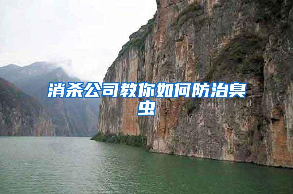 消殺公司教你如何防治臭蟲(chóng)