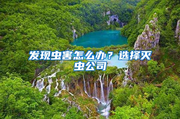 發(fā)現(xiàn)蟲(chóng)害怎么辦？選擇滅蟲(chóng)公司