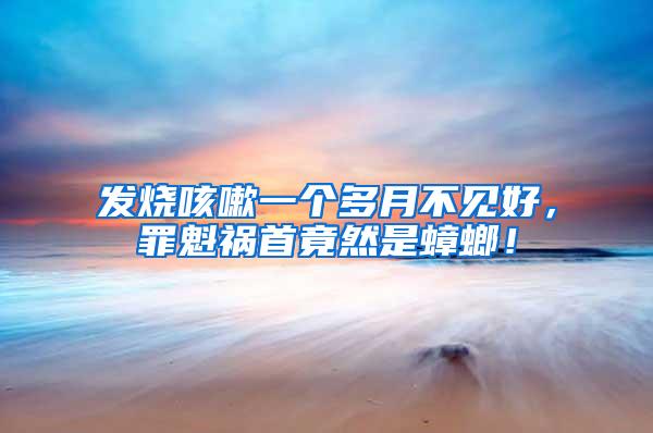 發(fā)燒咳嗽一個(gè)多月不見好，罪魁禍?zhǔn)拙谷皇求耄?/></p>
             <p style=