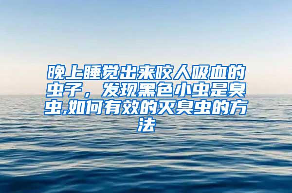 晚上睡覺出來咬人吸血的蟲子，發現黑色小蟲是臭蟲,如何有效的滅臭蟲的方法