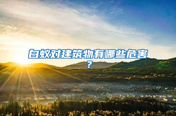 白蟻對建筑物有哪些危害？