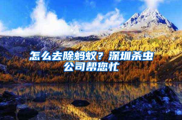 怎么去除螞蟻？深圳殺蟲(chóng)公司幫您忙