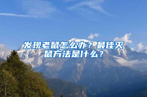 發現老鼠怎么辦？最佳滅鼠方法是什么？
