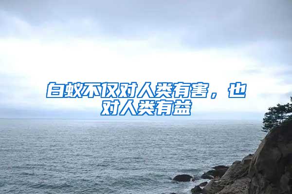 白蟻不僅對(duì)人類有害，也對(duì)人類有益