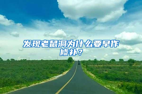 發現老鼠洞為什么要早作修補？