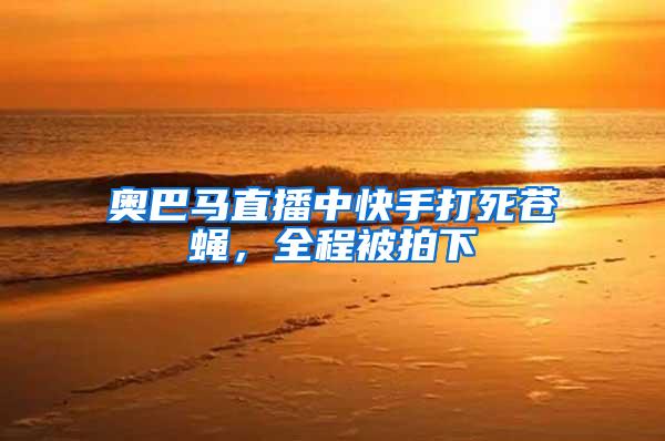 奧巴馬直播中快手打死蒼蠅，全程被拍下