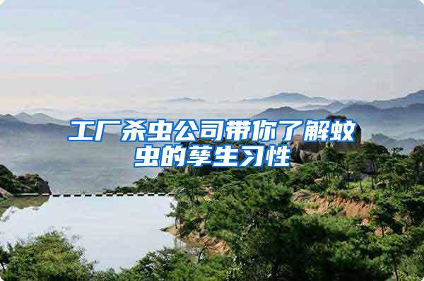 工廠殺蟲公司帶你了解蚊蟲的孳生習(xí)性