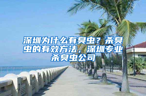 深圳為什么有臭蟲？殺臭蟲的有效方法，深圳專業殺臭蟲公司