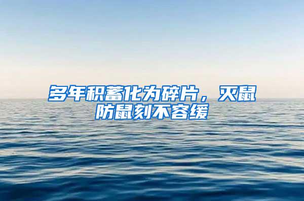 多年積蓄化為碎片，滅鼠防鼠刻不容緩