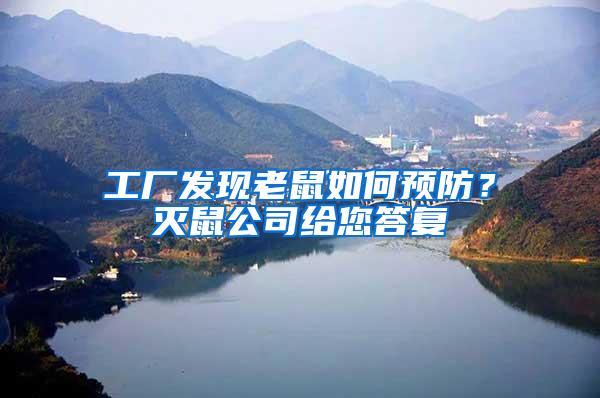 工廠發現老鼠如何預防？滅鼠公司給您答復