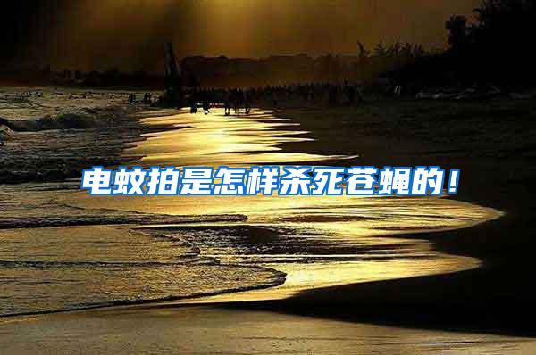 電蚊拍是怎樣殺死蒼蠅的！