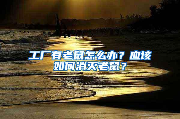 工廠有老鼠怎么辦？應該如何消滅老鼠？