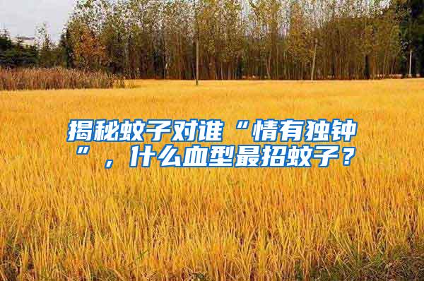 揭秘蚊子對(duì)誰“情有獨(dú)鐘”，什么血型最招蚊子？