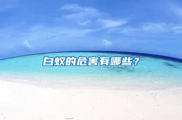 白蟻的危害有哪些？