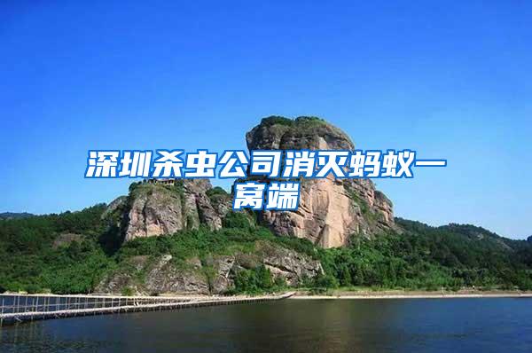 深圳殺蟲(chóng)公司消滅螞蟻一窩端