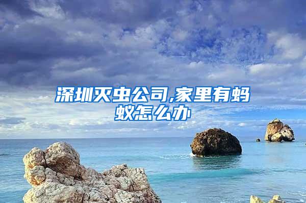 深圳滅蟲(chóng)公司,家里有螞蟻怎么辦
