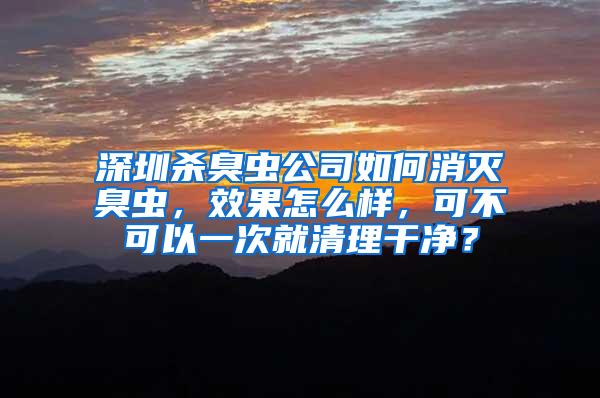 深圳殺臭蟲公司如何消滅臭蟲，效果怎么樣，可不可以一次就清理干凈？