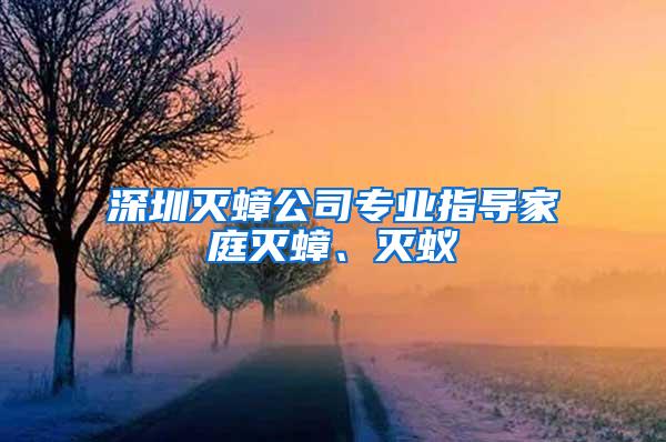 深圳滅蟑公司專業指導家庭滅蟑、滅蟻