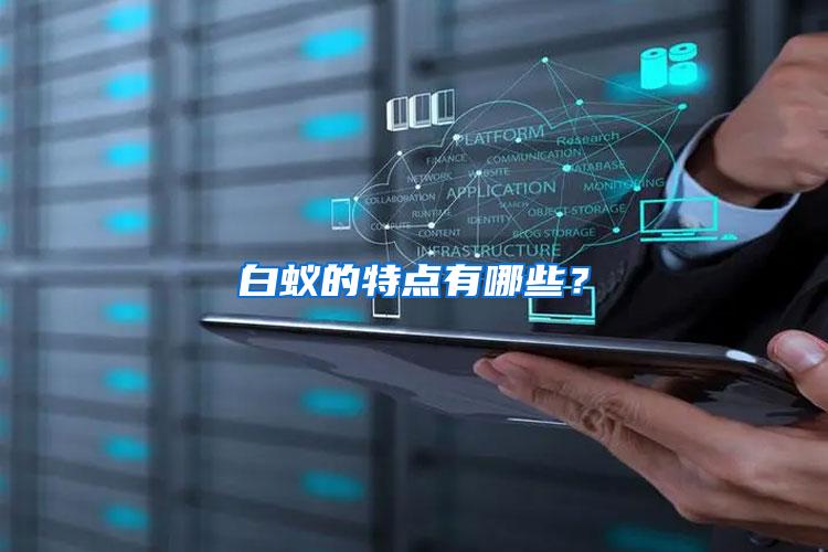 白蟻的特點(diǎn)有哪些？
