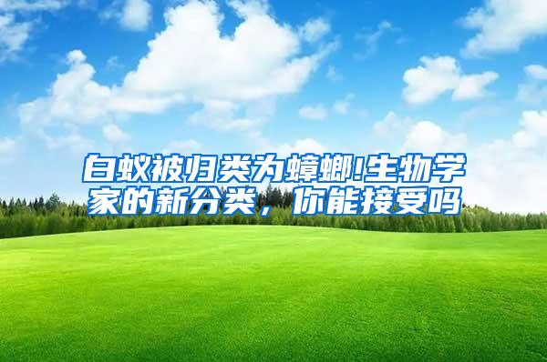 白蟻被歸類為蟑螂!生物學家的新分類，你能接受嗎