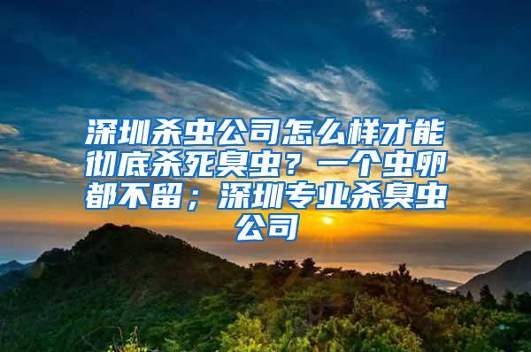 深圳殺蟲公司怎么樣才能徹底殺死臭蟲？一個蟲卵都不留；深圳專業殺臭蟲公司