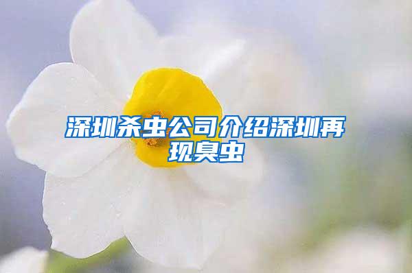 深圳殺蟲公司介紹深圳再現(xiàn)臭蟲