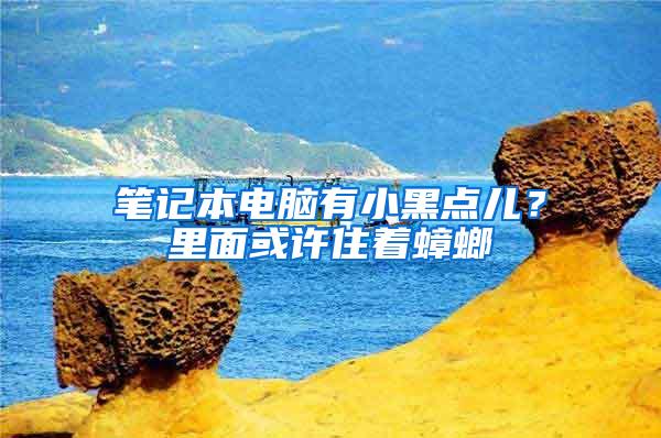 筆記本電腦有小黑點兒？里面或許住著蟑螂
