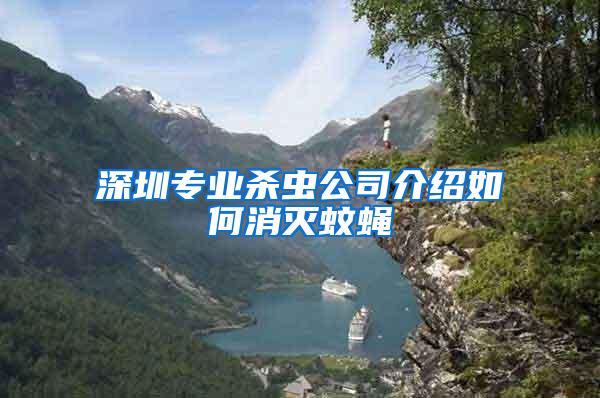 深圳專業(yè)殺蟲公司介紹如何消滅蚊蠅