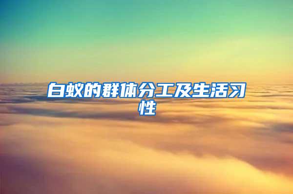 白蟻的群體分工及生活習(xí)性
