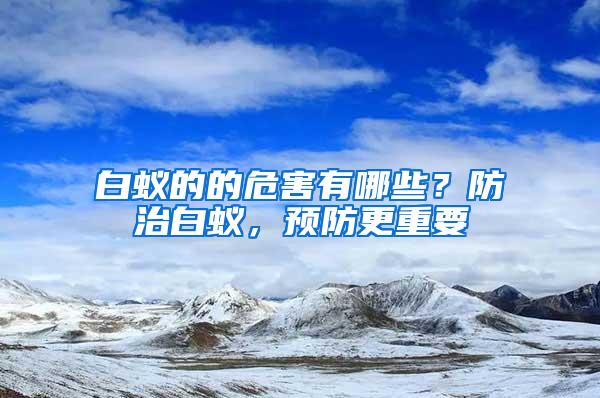 白蟻的的危害有哪些？防治白蟻，預(yù)防更重要