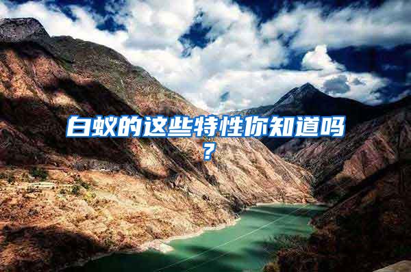 白蟻的這些特性你知道嗎？