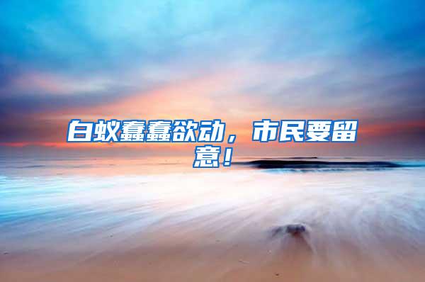 白蟻蠢蠢欲動(dòng)，市民要留意！