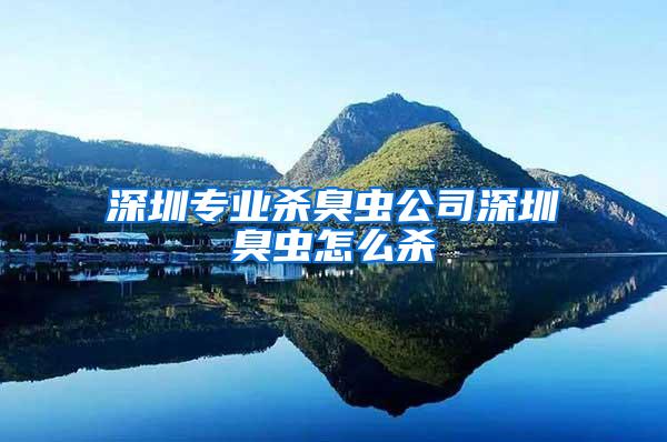 深圳專(zhuān)業(yè)殺臭蟲(chóng)公司深圳臭蟲(chóng)怎么殺