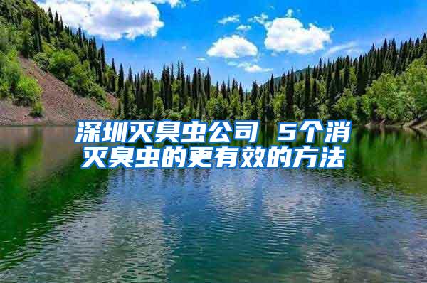 深圳滅臭蟲(chóng)公司 5個(gè)消滅臭蟲(chóng)的更有效的方法