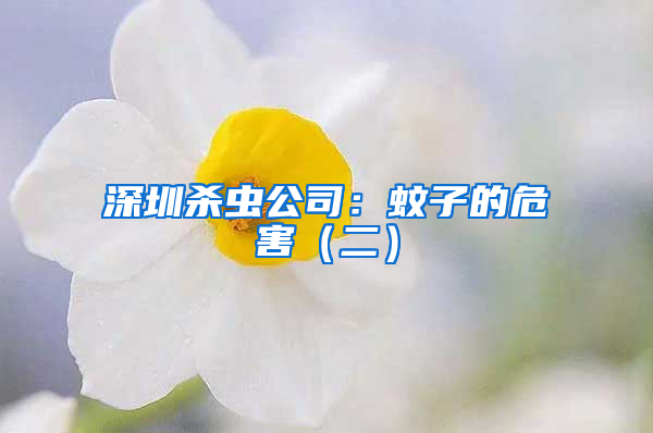 深圳殺蟲(chóng)公司：蚊子的危害（二）