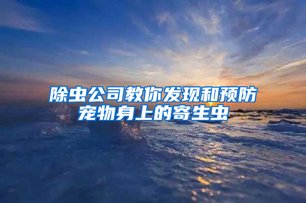 除蟲公司教你發(fā)現(xiàn)和預(yù)防寵物身上的寄生蟲