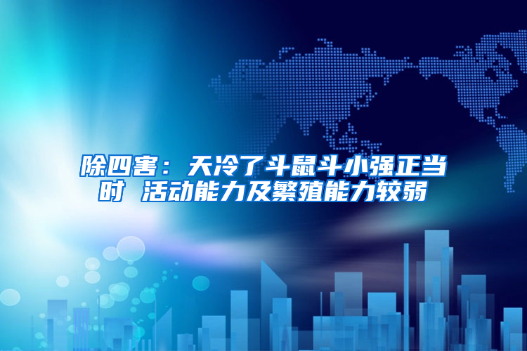 除四害：天冷了斗鼠斗小強正當(dāng)時 活動能力及繁殖能力較弱