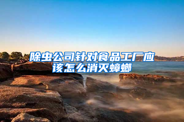 除蟲公司針對食品工廠應(yīng)該怎么消滅蟑螂