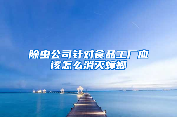 除蟲公司針對(duì)食品工廠應(yīng)該怎么消滅蟑螂