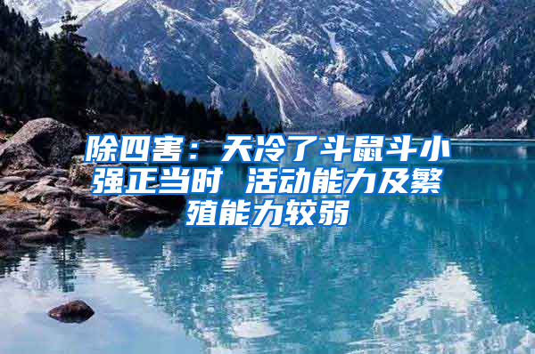 除四害：天冷了斗鼠斗小強(qiáng)正當(dāng)時 活動能力及繁殖能力較弱