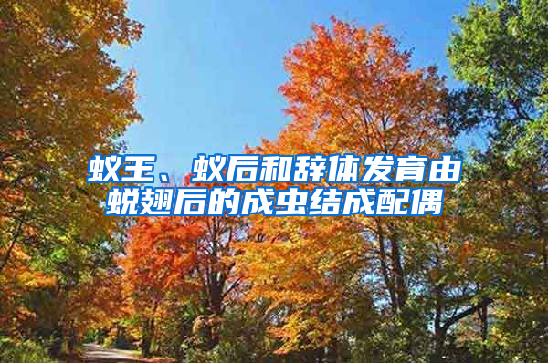 蟻王、蟻后和辭體發育由蛻翅后的成蟲結成配偶