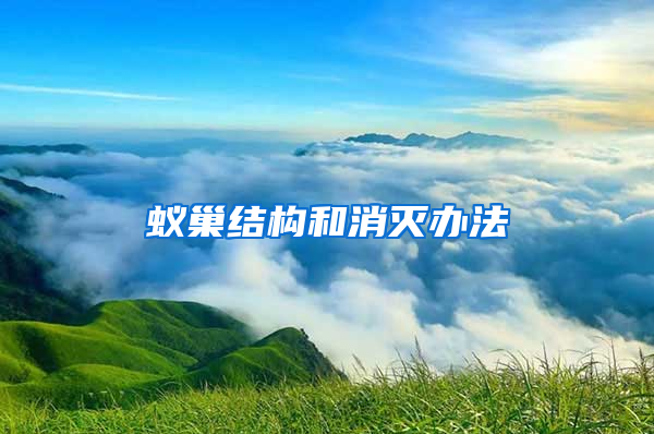 蟻巢結(jié)構(gòu)和消滅辦法